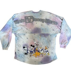 Limited edition Disney 100 anniversary spirit jersey